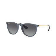 Ray Ban RB4171 Erika Polarized